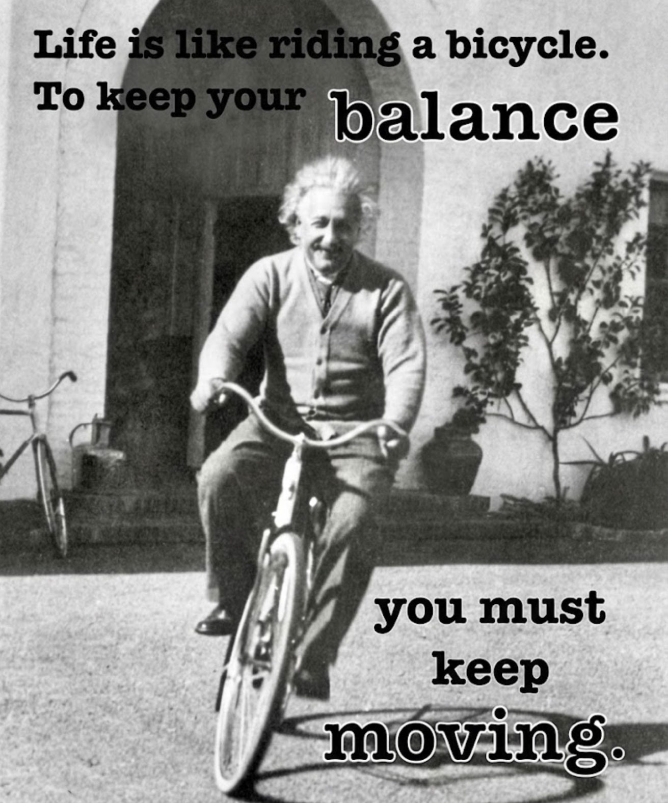 einstein-with-bicycle